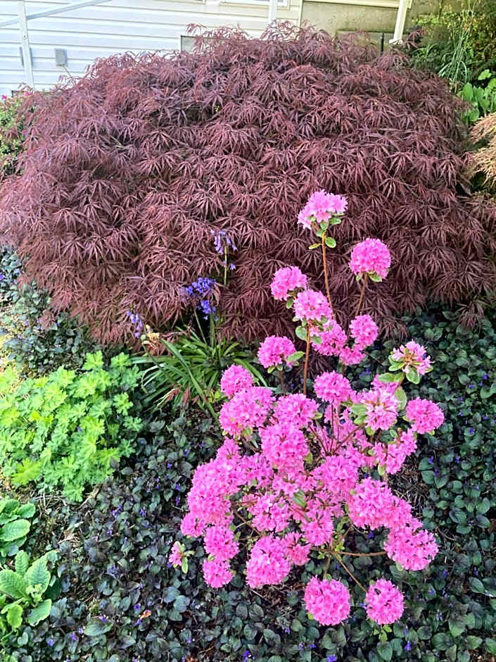 Kye Bay BnB - A Place to Breathe