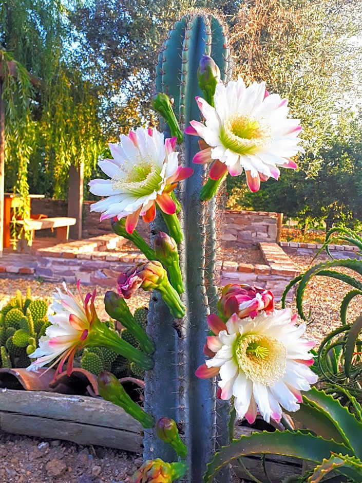 Monte da Floresta B&B