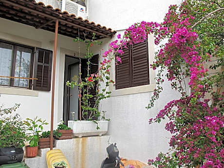 Lovely Apartment With See View -apartman Dimic 2