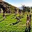 Chateau Deau Faraya