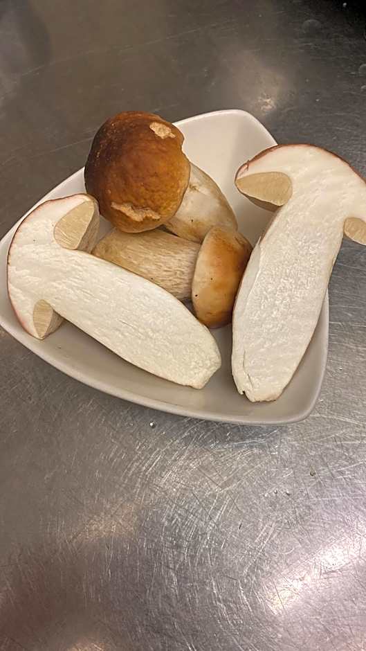 Hotel della Stazione