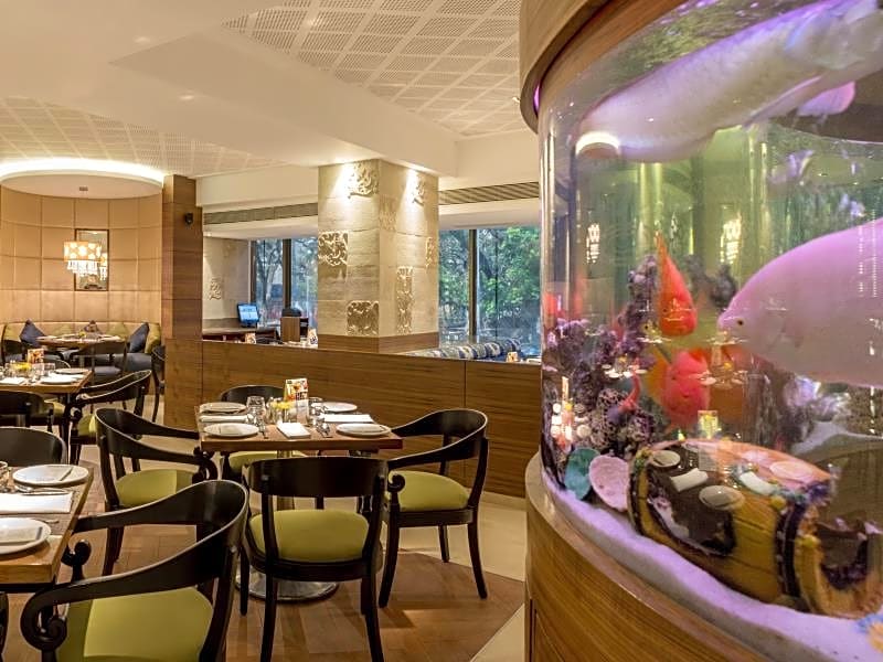 The International by Tunga