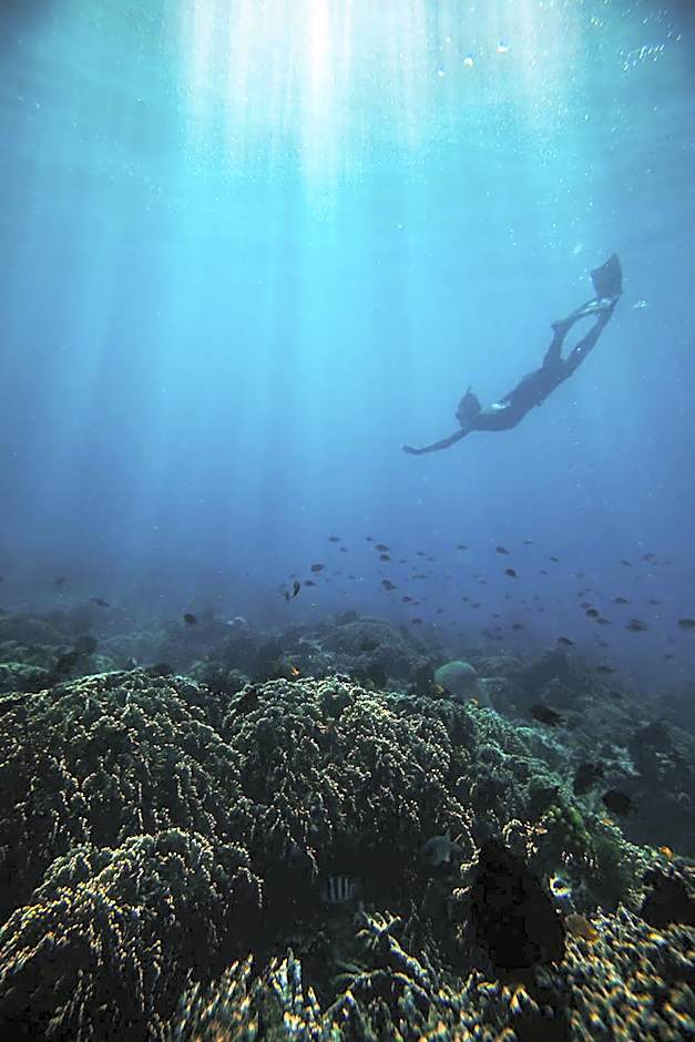 Gili Asahan Eco Lodge & Restaurant