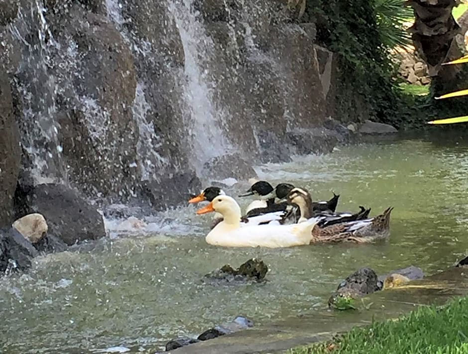 Villa Giulia - Sicilian Luxury Garden