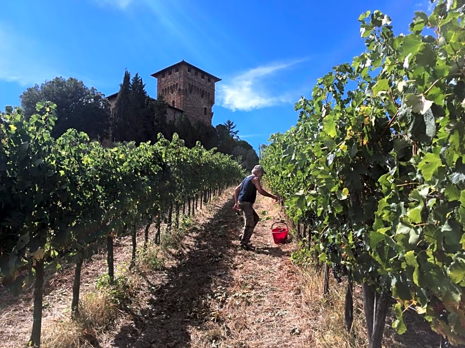 Castello di Cafaggio