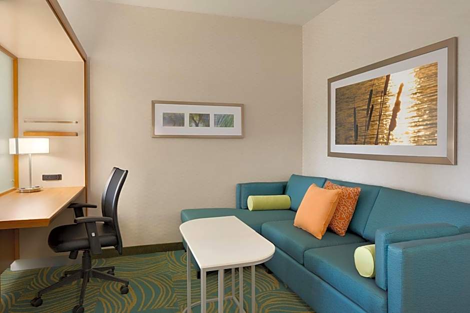 SpringHill Suites by Marriott Tuscaloosa