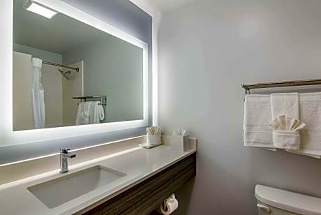 Superior King Suite with Sofa Bed - Non-Smoking