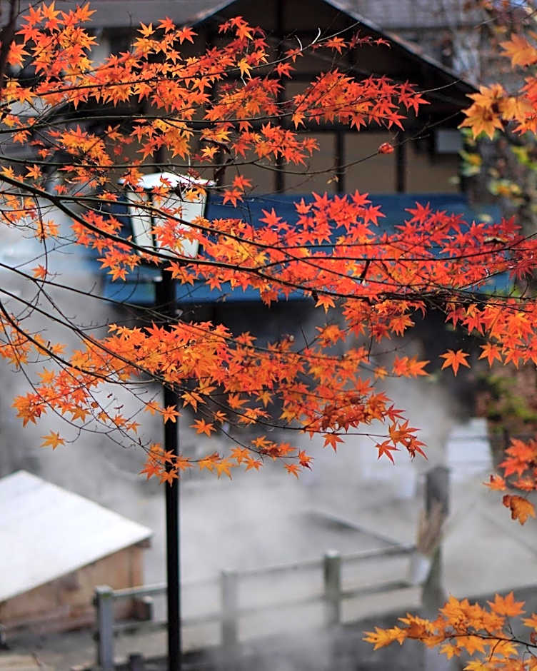 Nozawa View Hotel Shimataya