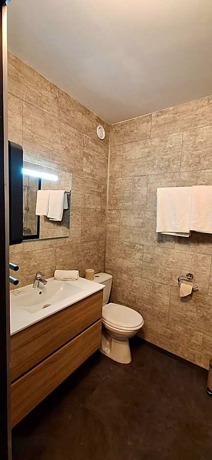 Brit Hotel le Cygne