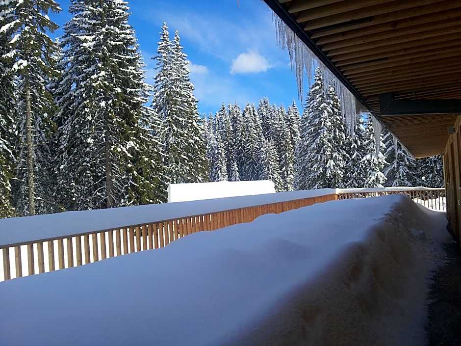 Hotel Jelka Pokljuka