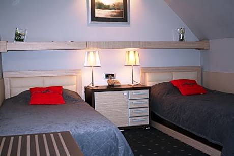 Special Offer - Double or Twin Room with New Year's Package