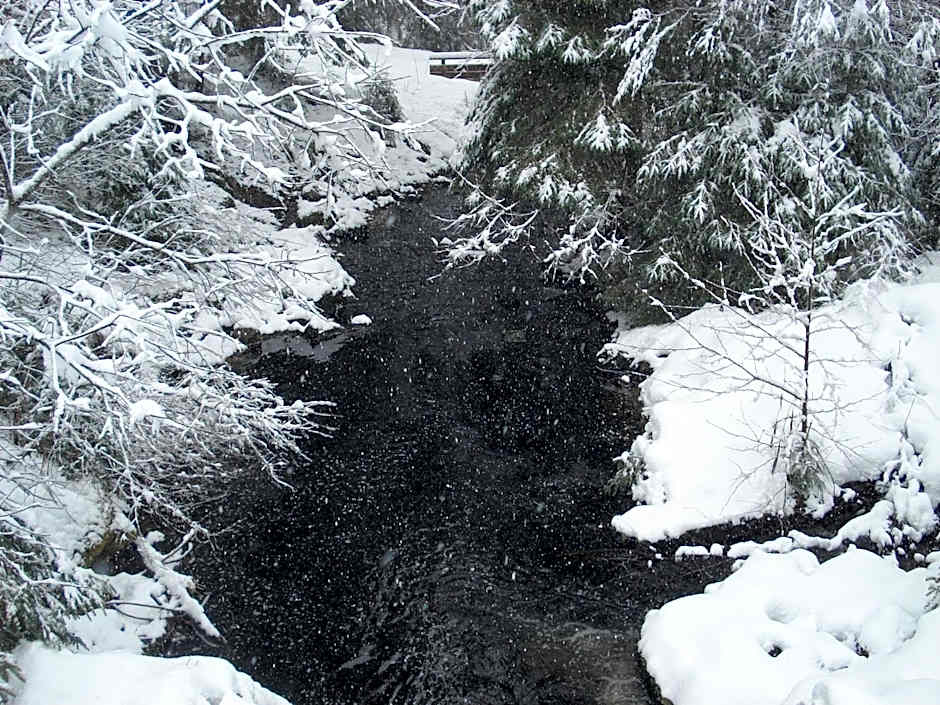 Domaine Des Hauts Viaux