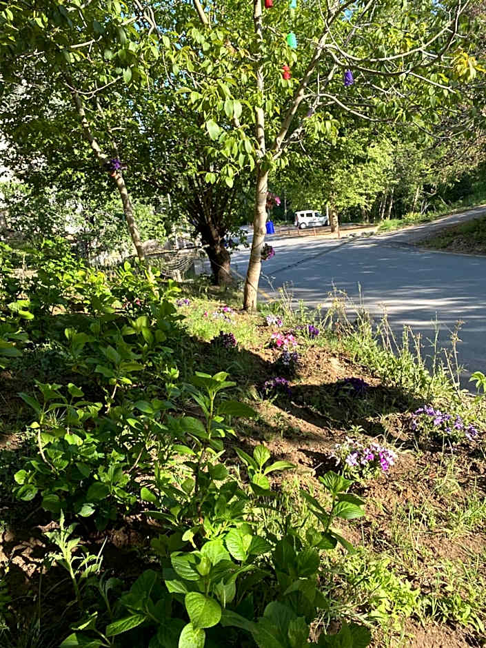 Kapri Termal Hotel & Kaplica Yalova