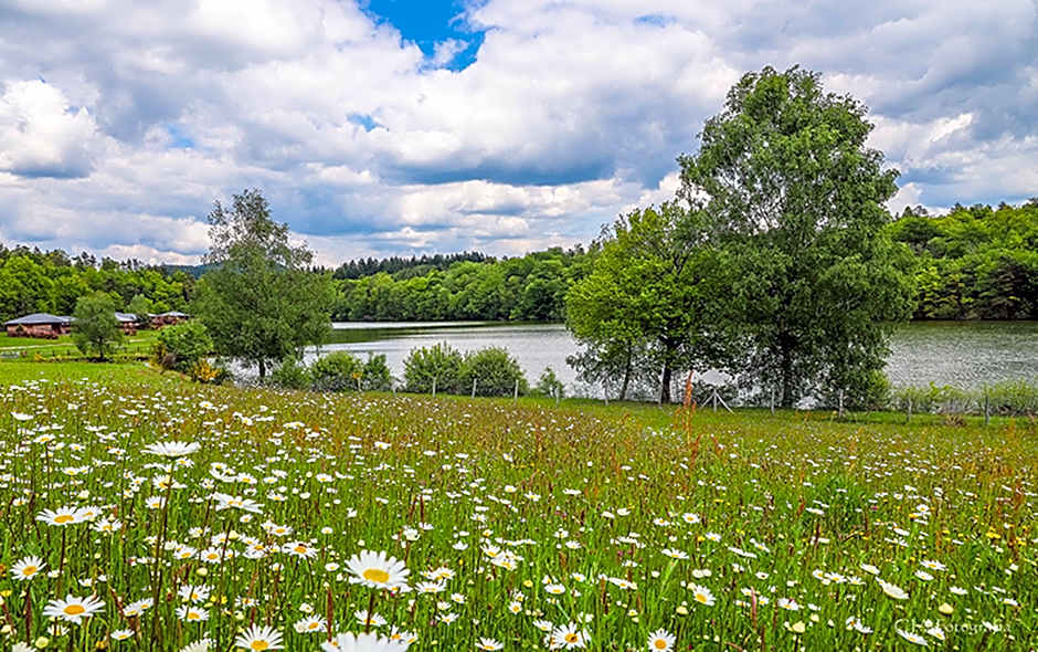 Le Domaine des Monedieres