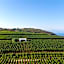 Tenuta di Castellaro Winery & Resort