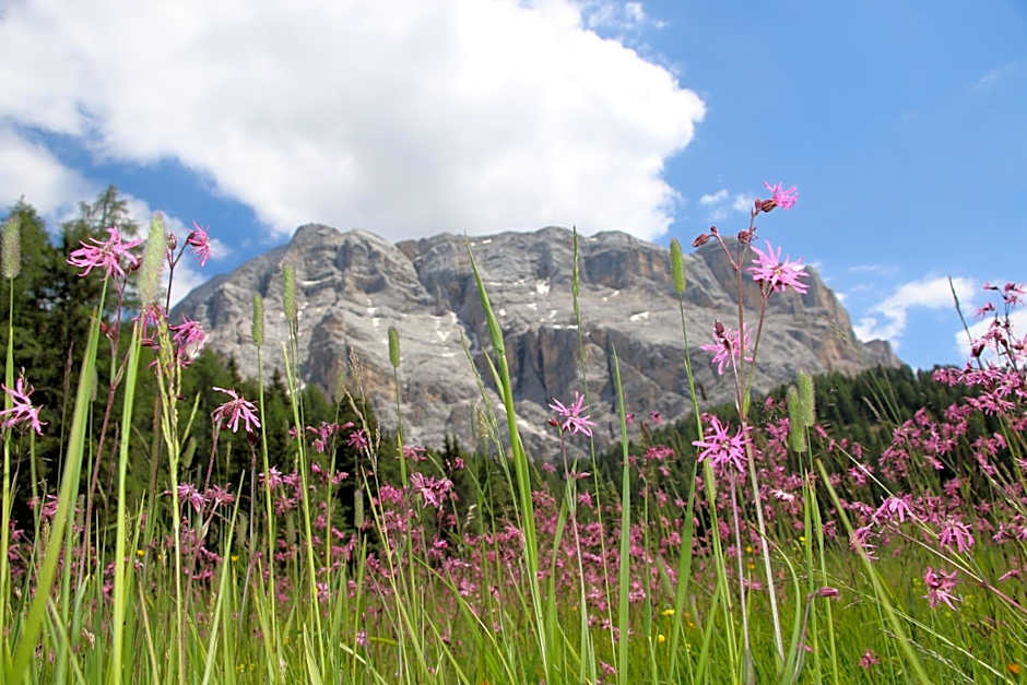Hotel Alpenrose Dolomites