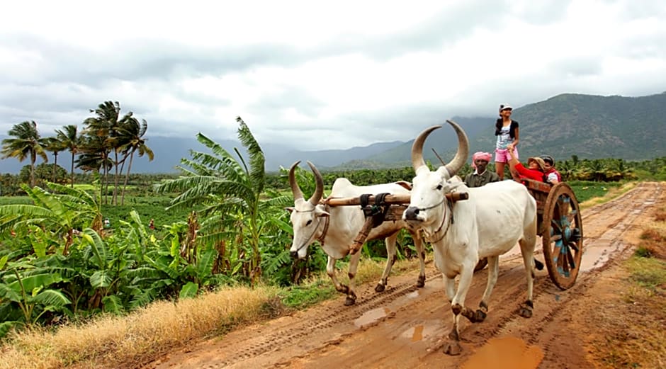 Harvest Fresh Farms Home Stay