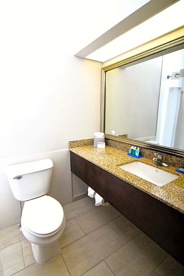 Holiday Inn Express Hotel & Suites Port Clinton-Catawba Island By IHG