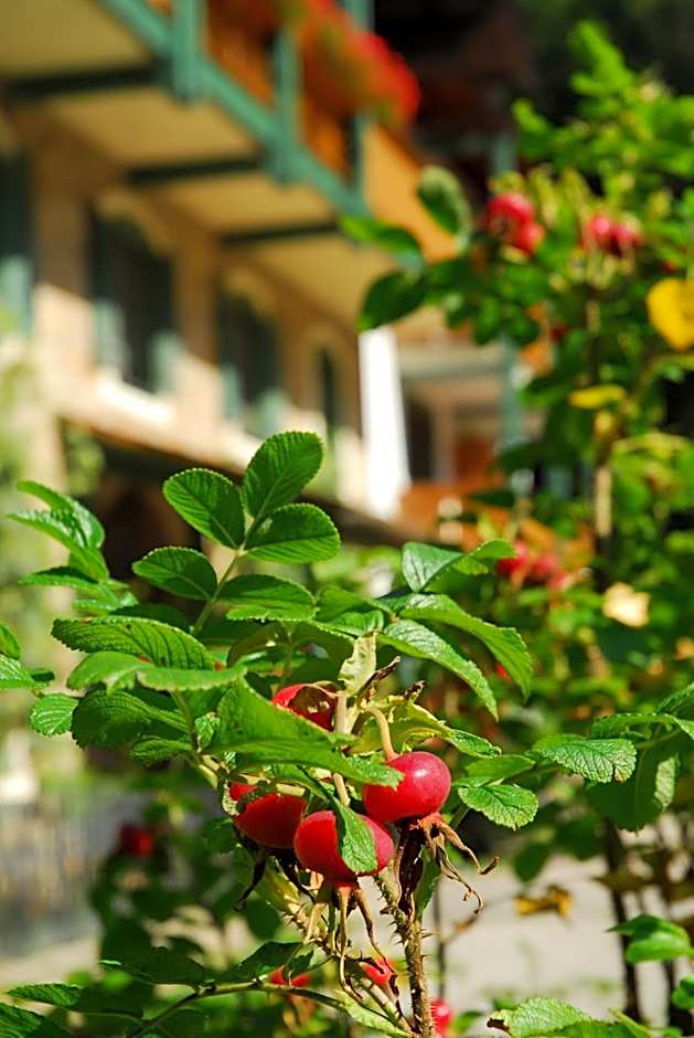 Naturidyll Hotel Hammerschmiede