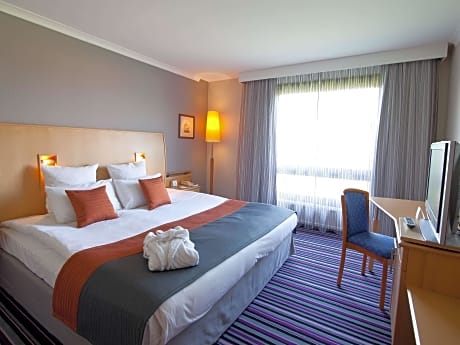 Deluxe Suite with 1 kingsize bed