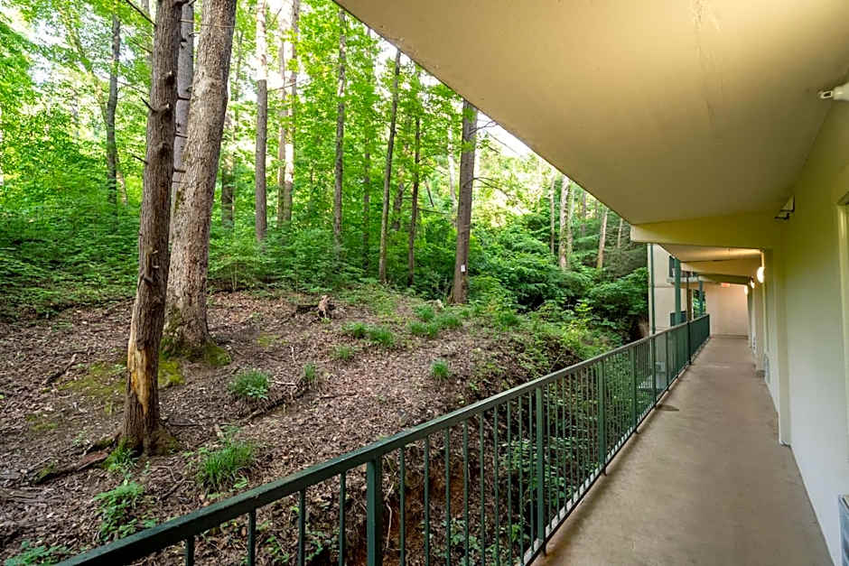Condo in Gatlinburg very peaceful - 10 min Walk to Main Strip