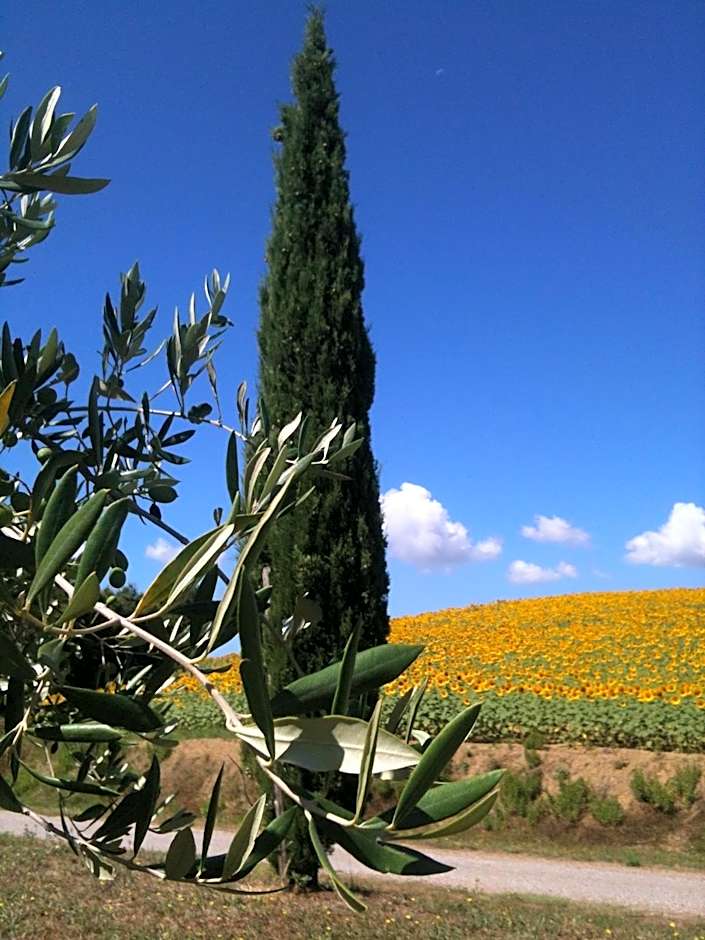 Le Palazze B&b