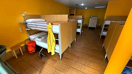 Bunk Bed in Mixed Dormitory Room