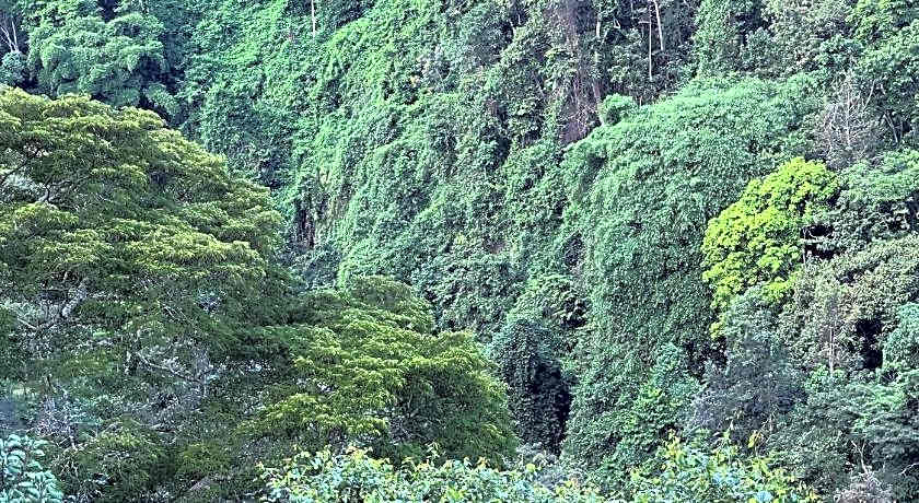 Kaliwa Lodge