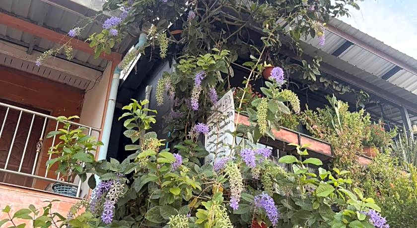Krabi Nemo House