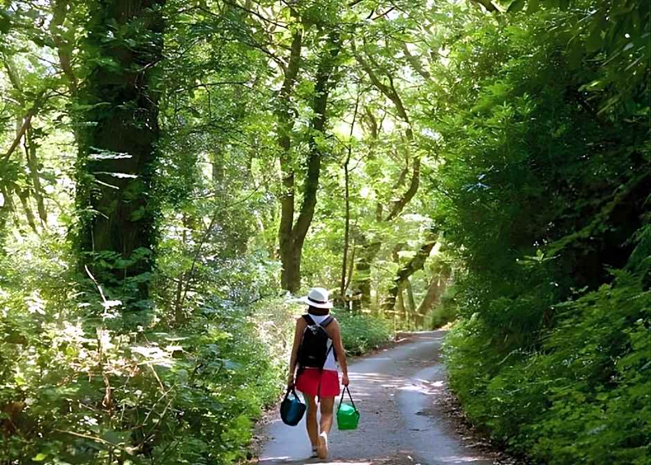 The Valley of Rocks Hotel