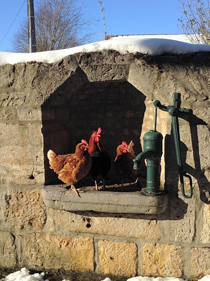 la fontaine aux oiseaux