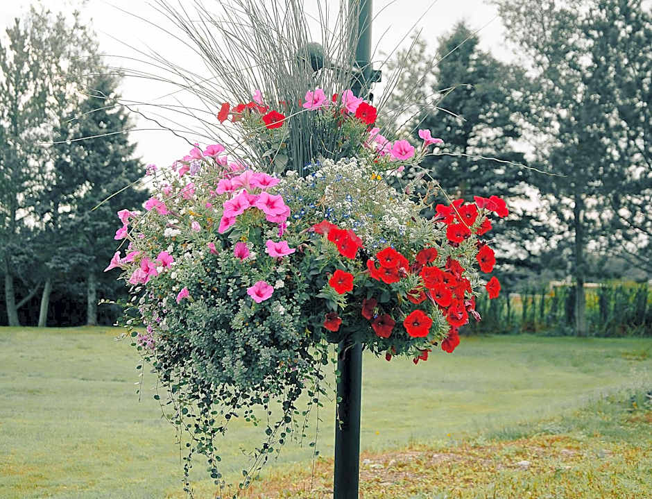 Ceilidh Country Lodge