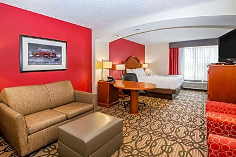 Deluxe King Suite - Non-Smoking