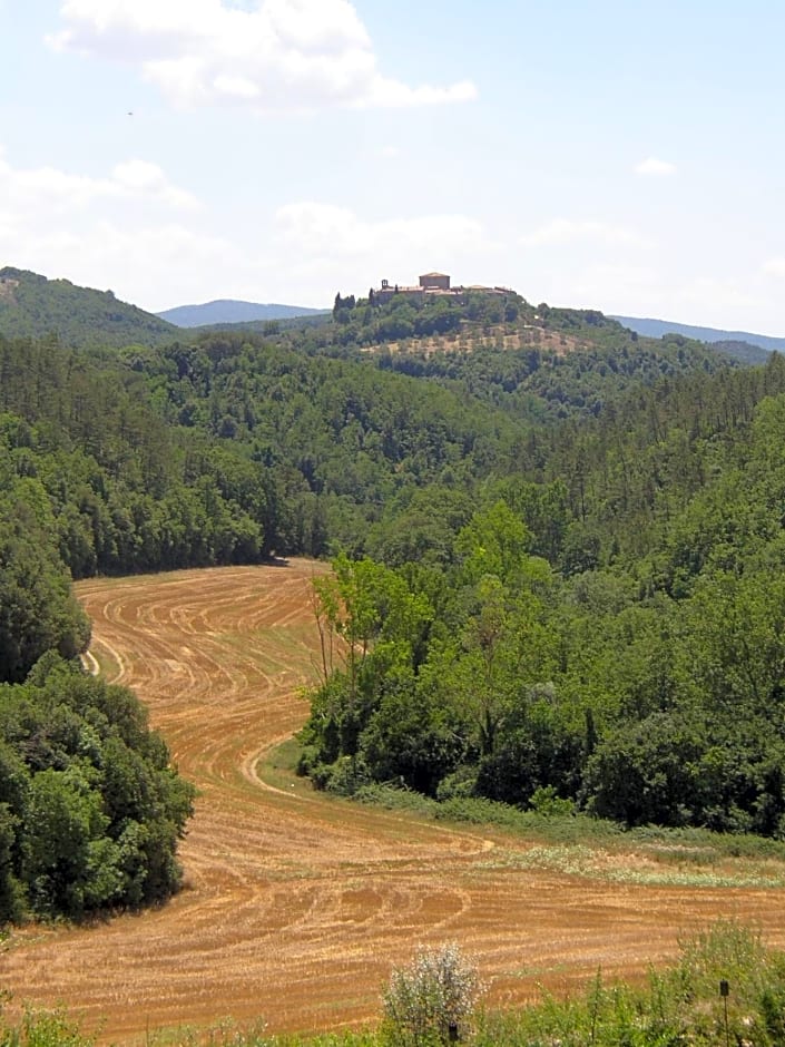 Bosco Della Spina