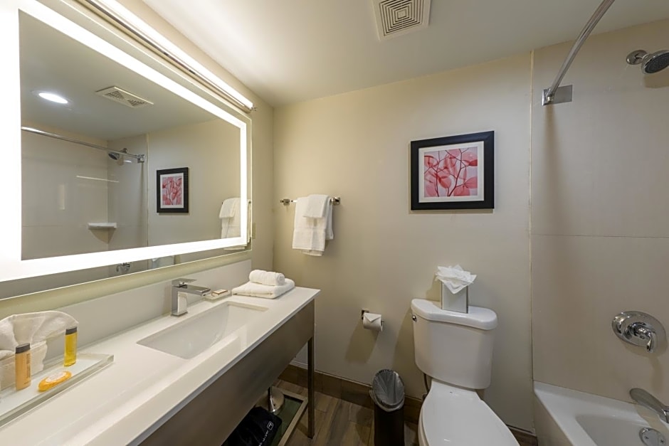 Holiday Inn Brookfield - Milwaukee By IHG