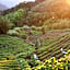 SunRise 23.5N B&B