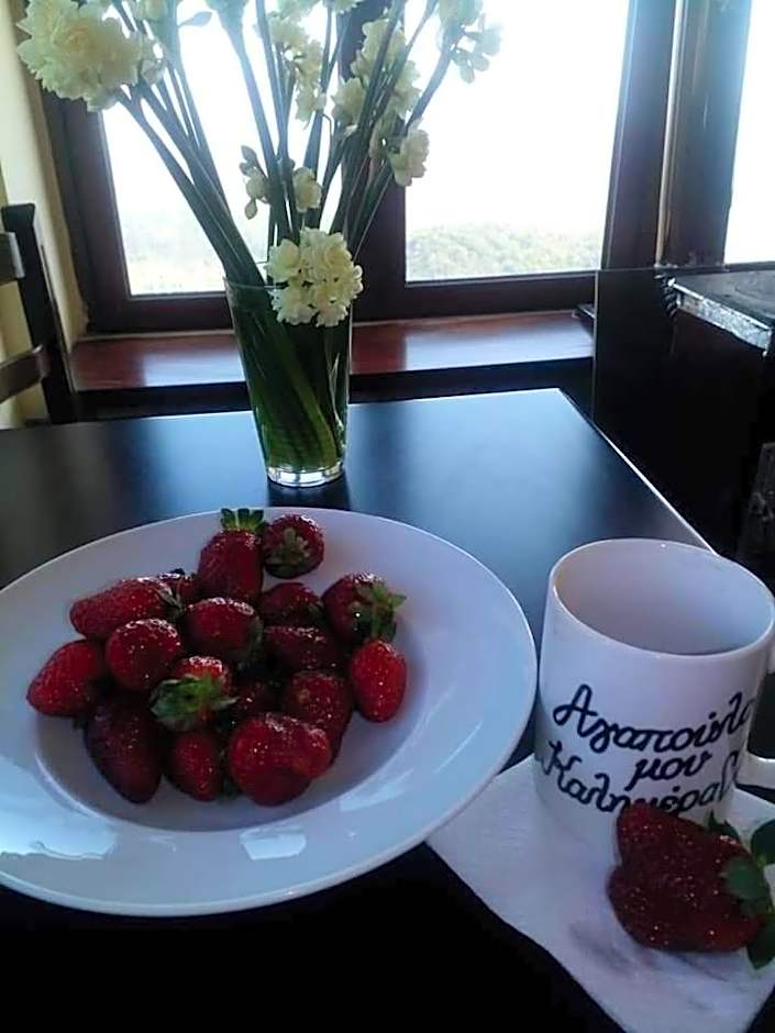 Hotel Isaraiko Spiti Agia Theodora