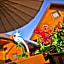 Kakadu domki letniskowe Niechorze