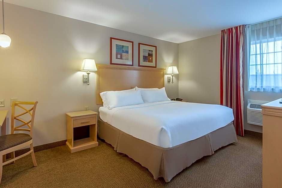 Photo 1 of 4 of 1 King Bed with Sofabed Suite