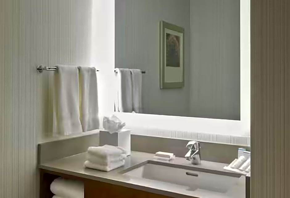 Hilton Garden Inn Long Island City New York