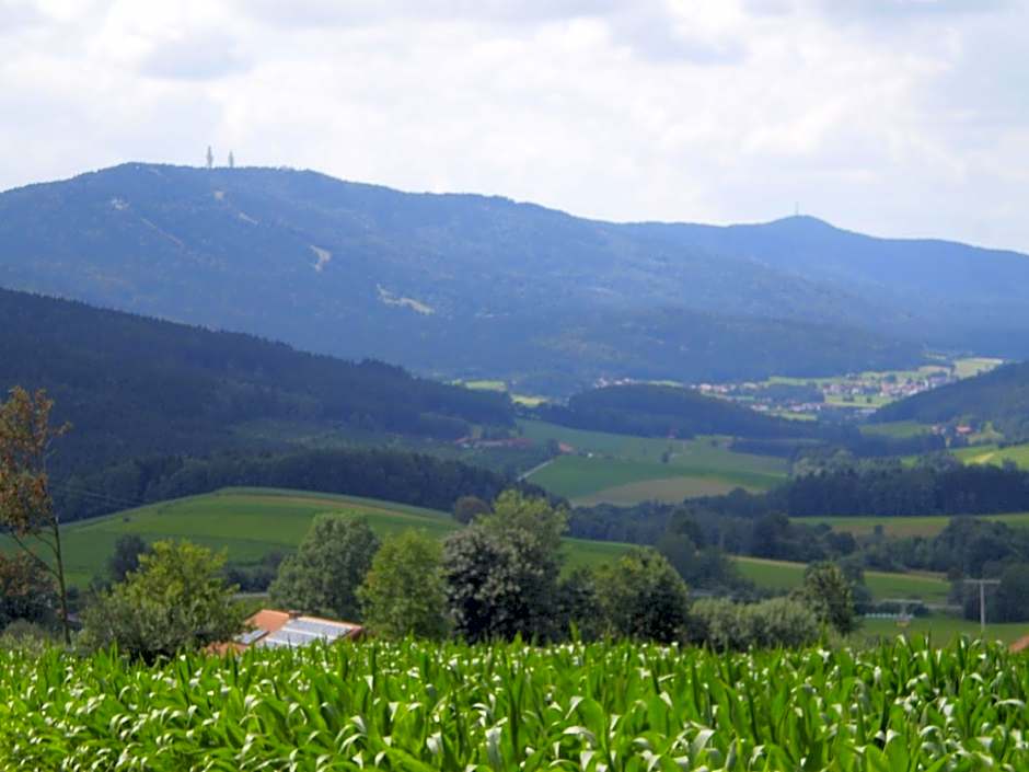 Pension Schamberger