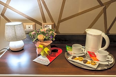 superior double/twin room