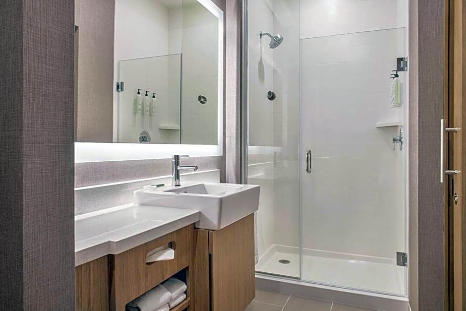 SpringHill Suites By Marriott Phoenix West/Avondale