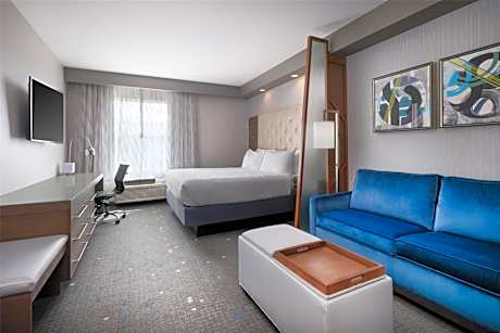 King Suite with Sofa Bed and Communication Assistance