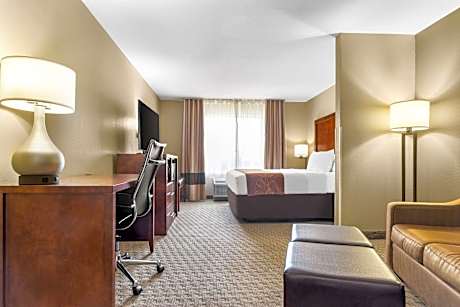 1 King Bed Suite Nonsmoking Accessible