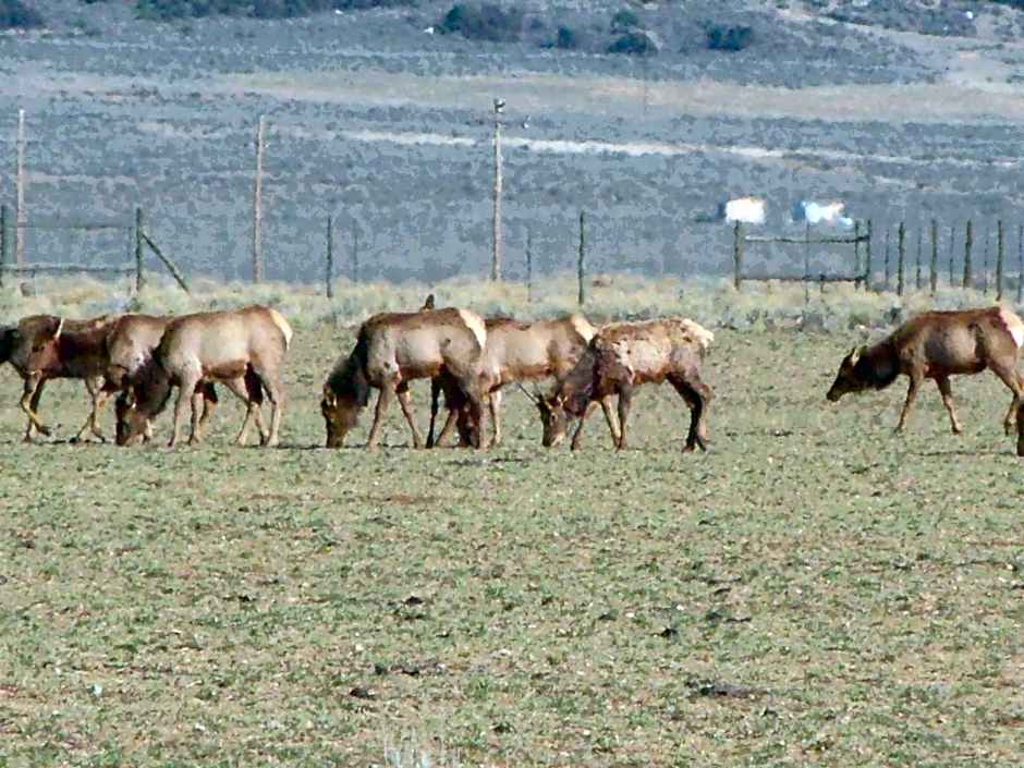 Narrow Gauge Railroad Inn