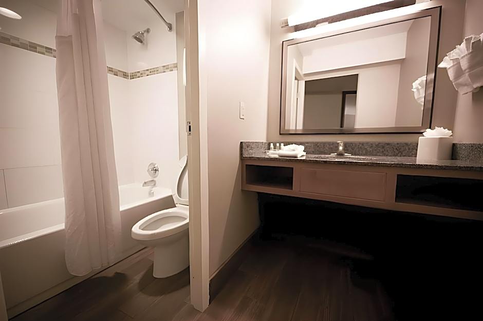 Holiday Inn Raleigh Downtown By IHG