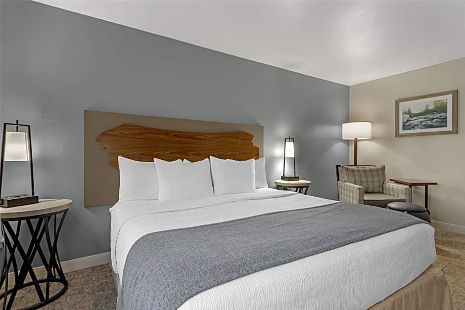 Best Western Vista Inn