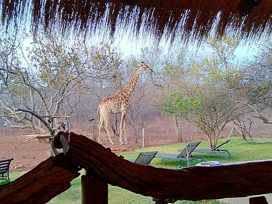 Call of the Wild Lodge