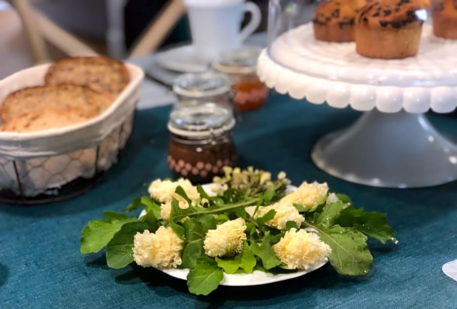 EDEN Locquirec - Piscine & Spa Chambre d hôtes